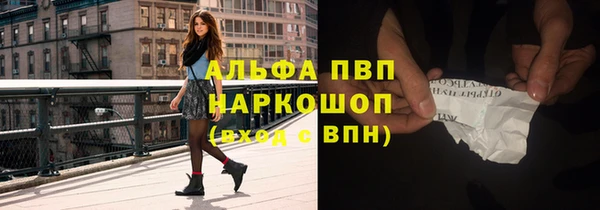 молекула духа Михайлов