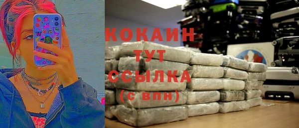 молекула духа Михайлов