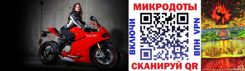 Галлюциногенные грибы ЛСД  Плёс 